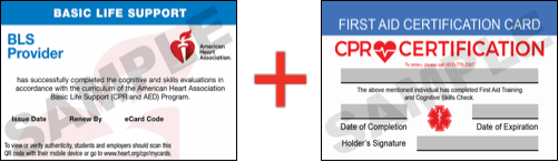 Sample American Heart Association AHA BLS CPR Card Certificaiton and First Aid Certification Card from CPR Certification Gainesville