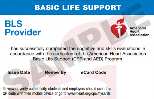 Sample American Heart Association AHA BLS CPR Card Certification from CPR Certification Gainesville